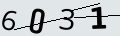 verifycode